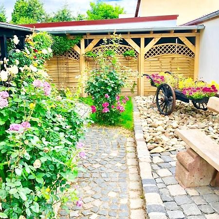 Ferienwohnungen Grimma 4 외부 사진