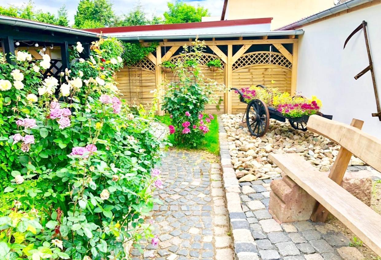 Ferienwohnungen Grimma 4 외부 사진